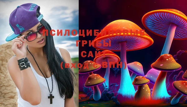 МДПВ Аркадак