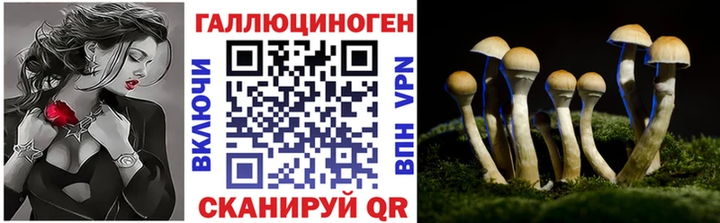 Псилоцибиновые грибы MAGIC MUSHROOMS  мориарти Telegram  Николаевск-на-Амуре 